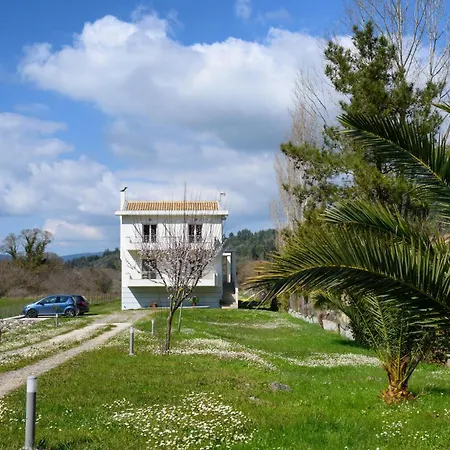 Aliki's Luxury With View, Pet Friendly! Apartment *